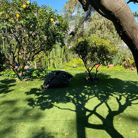 Hidden Paradise *
