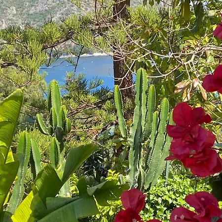 Nocleg ze śniadaniem Hidden Paradise Èze